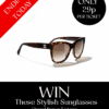 Win Chanel Sunglasses